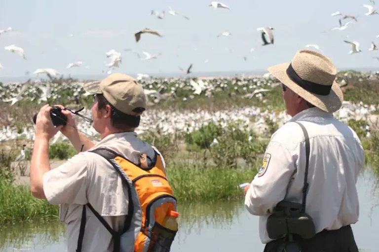 15 Camping Spots For Birdwatching