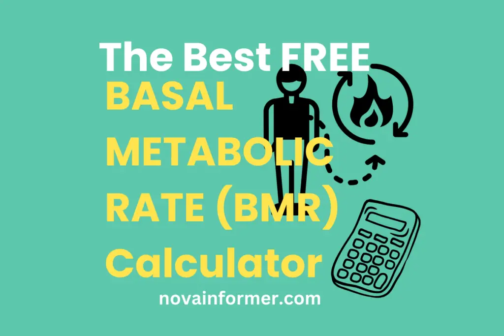 the best free BMR calculator