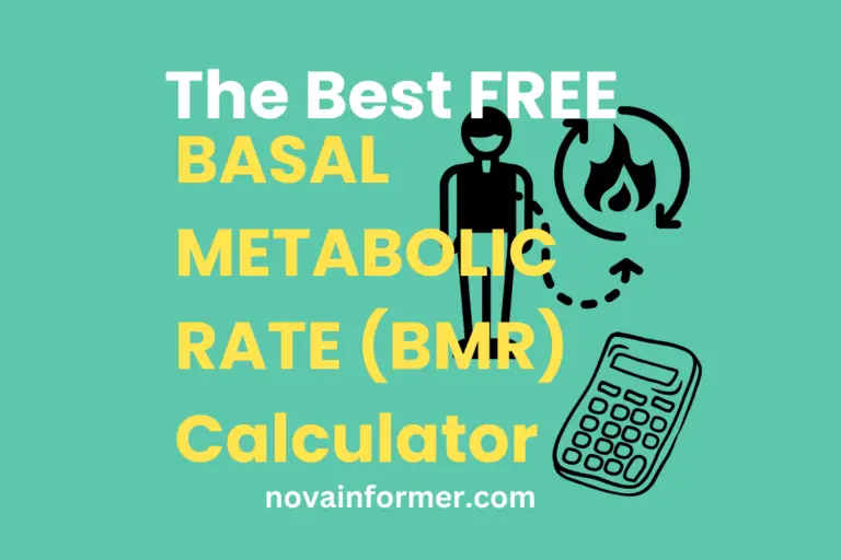 The Best BMR Calculator in 2024
