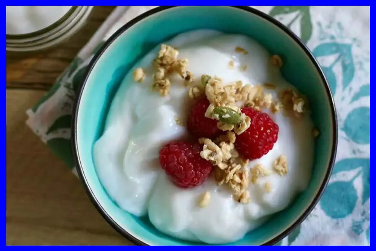 A picture of 5-Minute Vegan Yogurt in a blue plate with raspberry and oat on top.