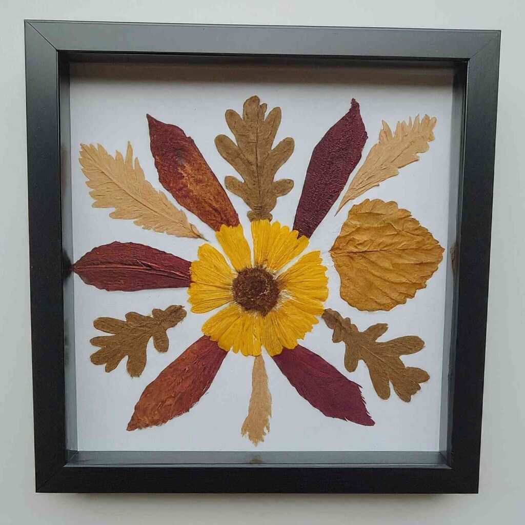 Nature Collage Frame