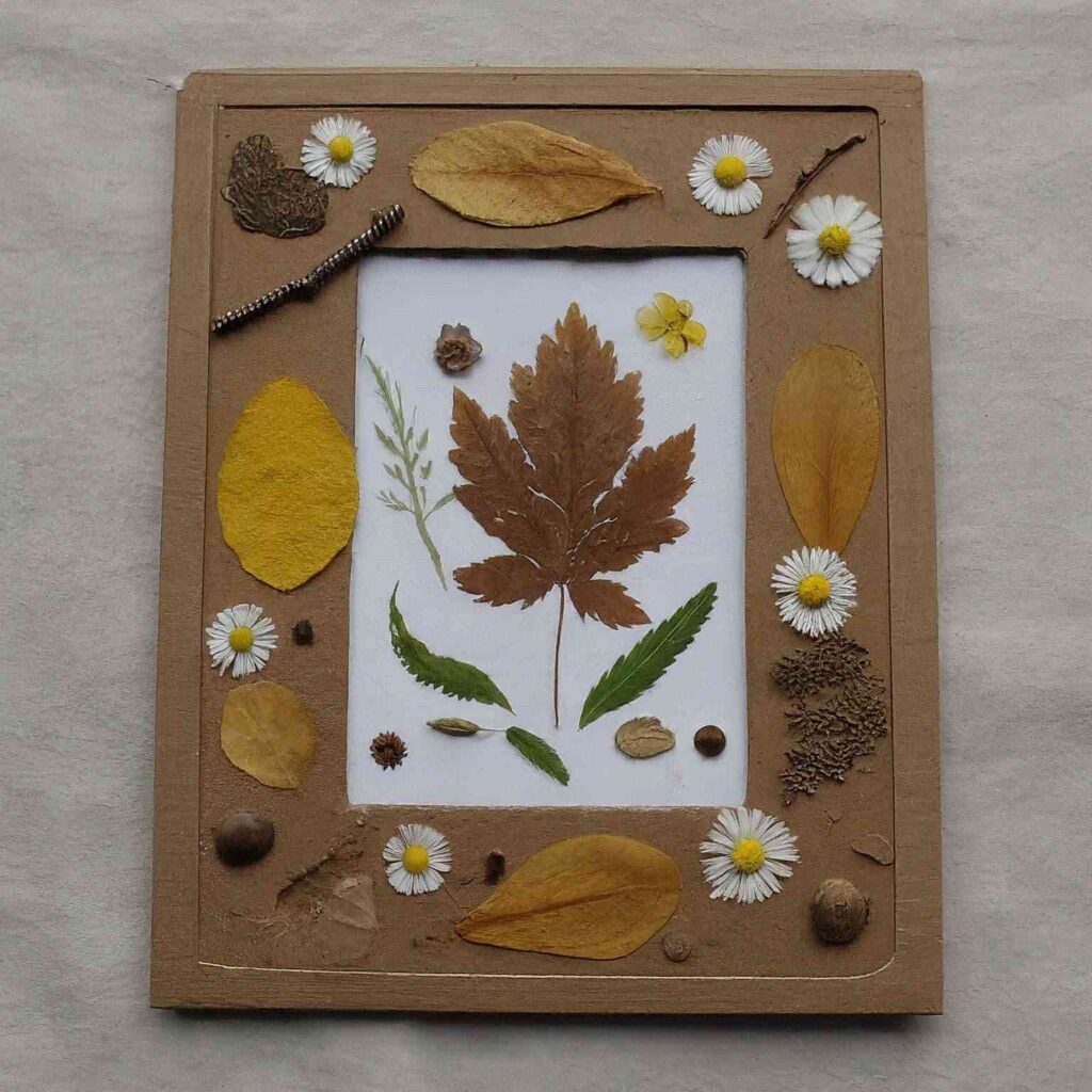 Nature Collage Photo Frame