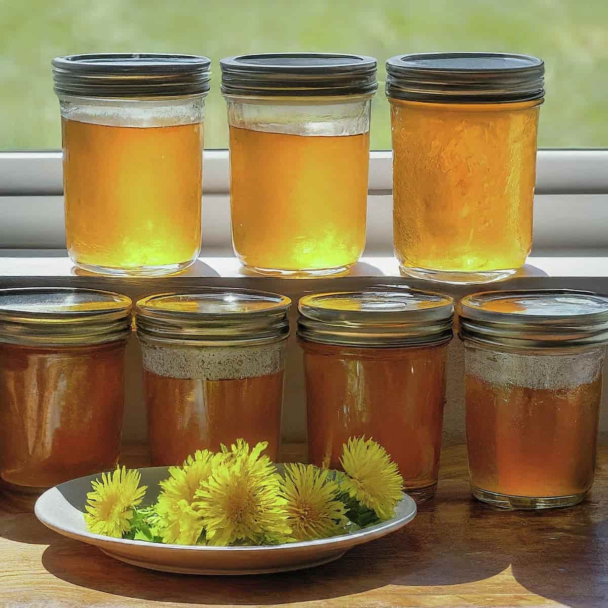 A picture of jars of dandelion jelly