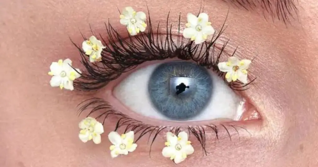 eye makeup ideas