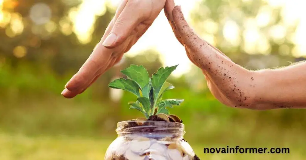 hands covering a plant growing on top of coins