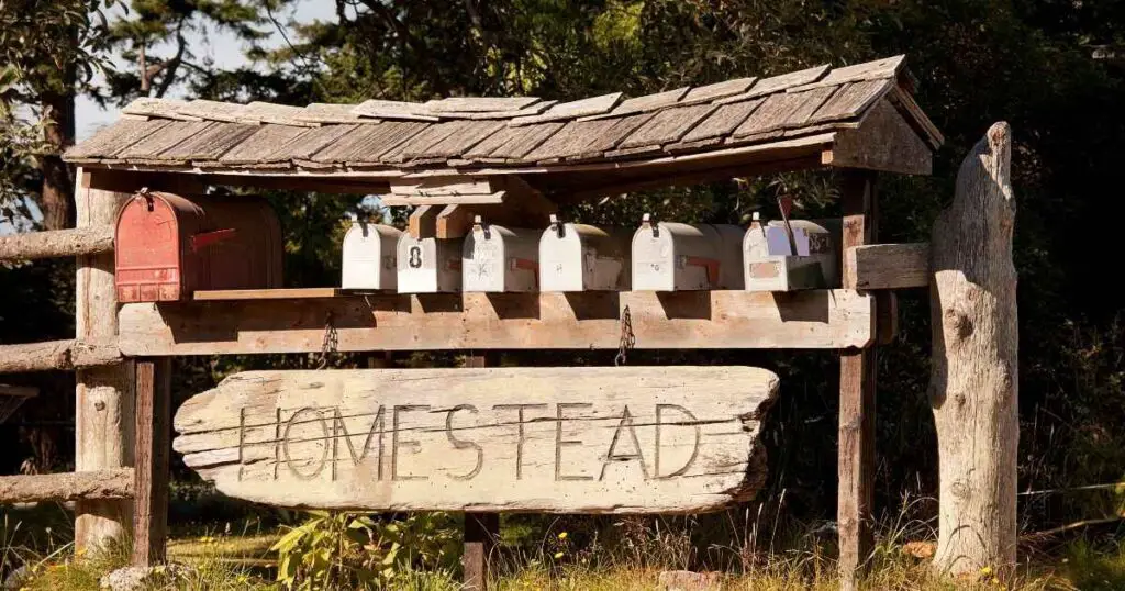 make money homesteading