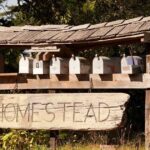 make money homesteading